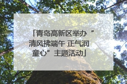 青岛高新区举办“清风拂端午 正气润童心”主题活动